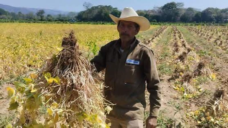agricultura